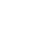 logo light