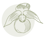 logo dark